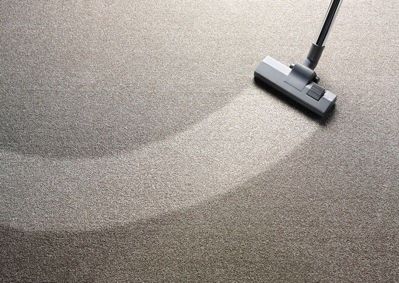 Best carpet cleaners 2026 reviewed and compared