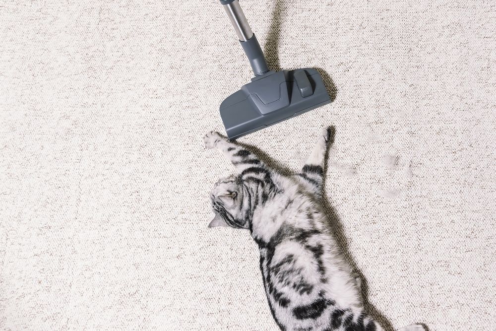 Best Bagged Vacuum Cleaners for Pet Hair in 2026 - 5 Expert Picks