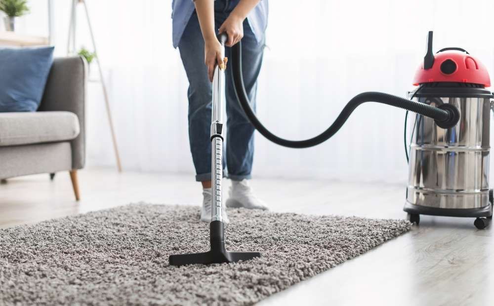 Best vacuums for high pile carpet and plush carpets