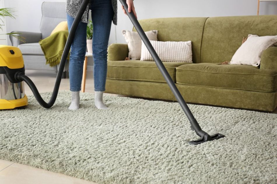 High Pile vs Low Pile Carpet Vacuum: Complete Buying Guide (2026)