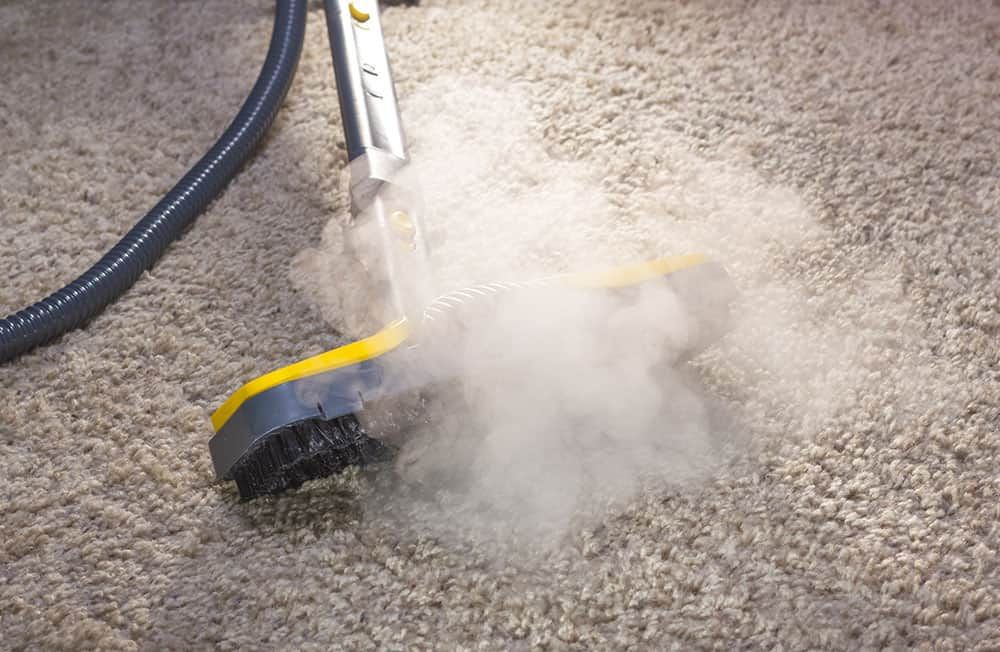 How to Remove Mold from Carpet: 10-Step DIY Guide (2026)