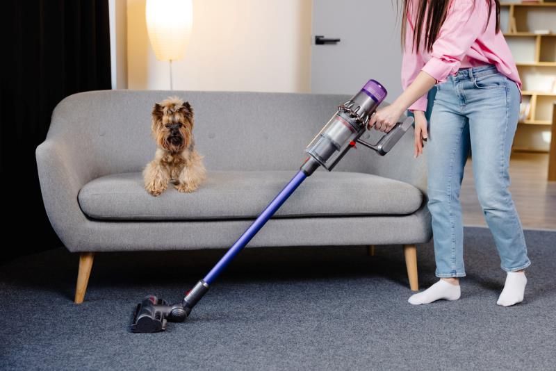 Pet Vacuum vs Regular Vacuum: Which Is Right for You? (2026 Guide)
