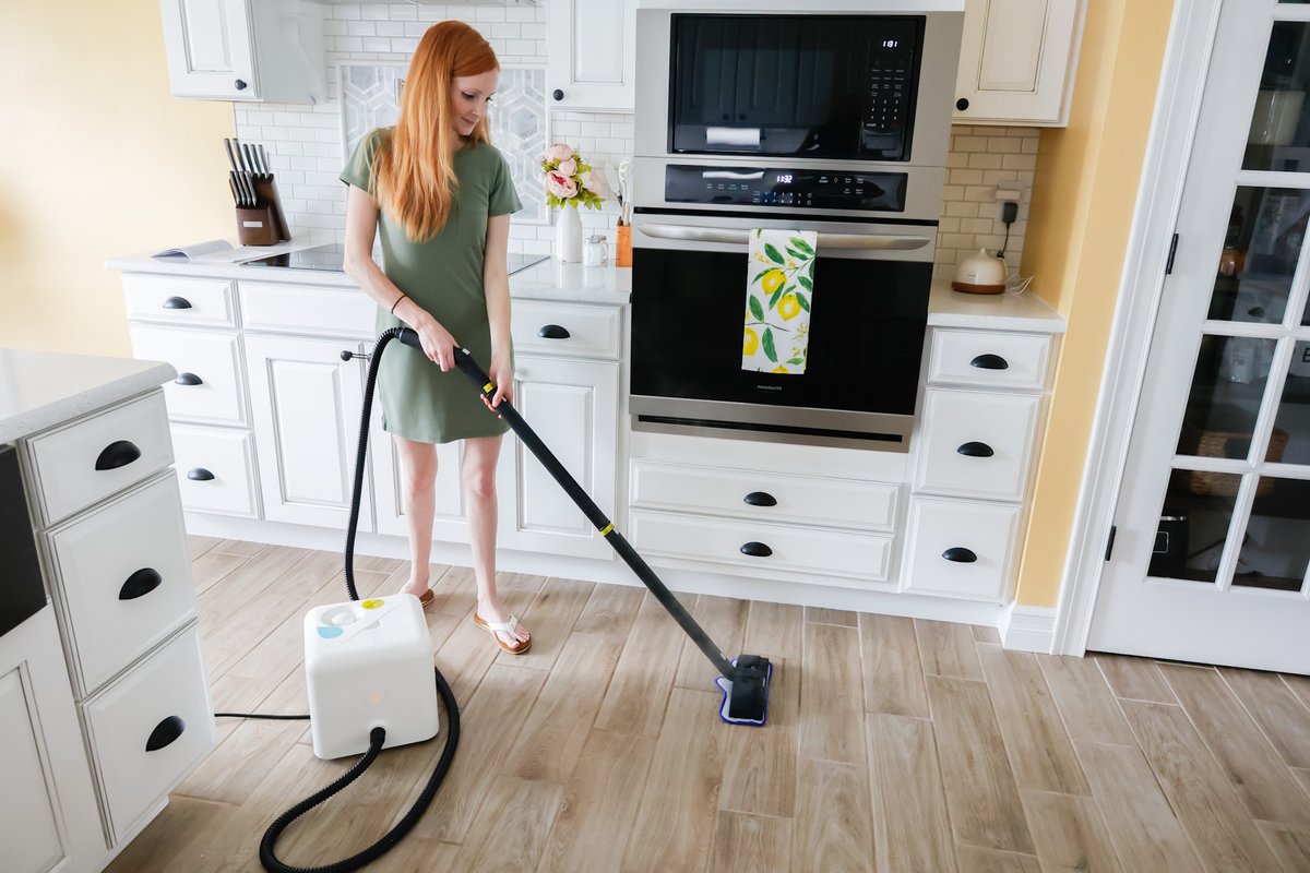 Dupray Neat steam cleaner for bed bugs