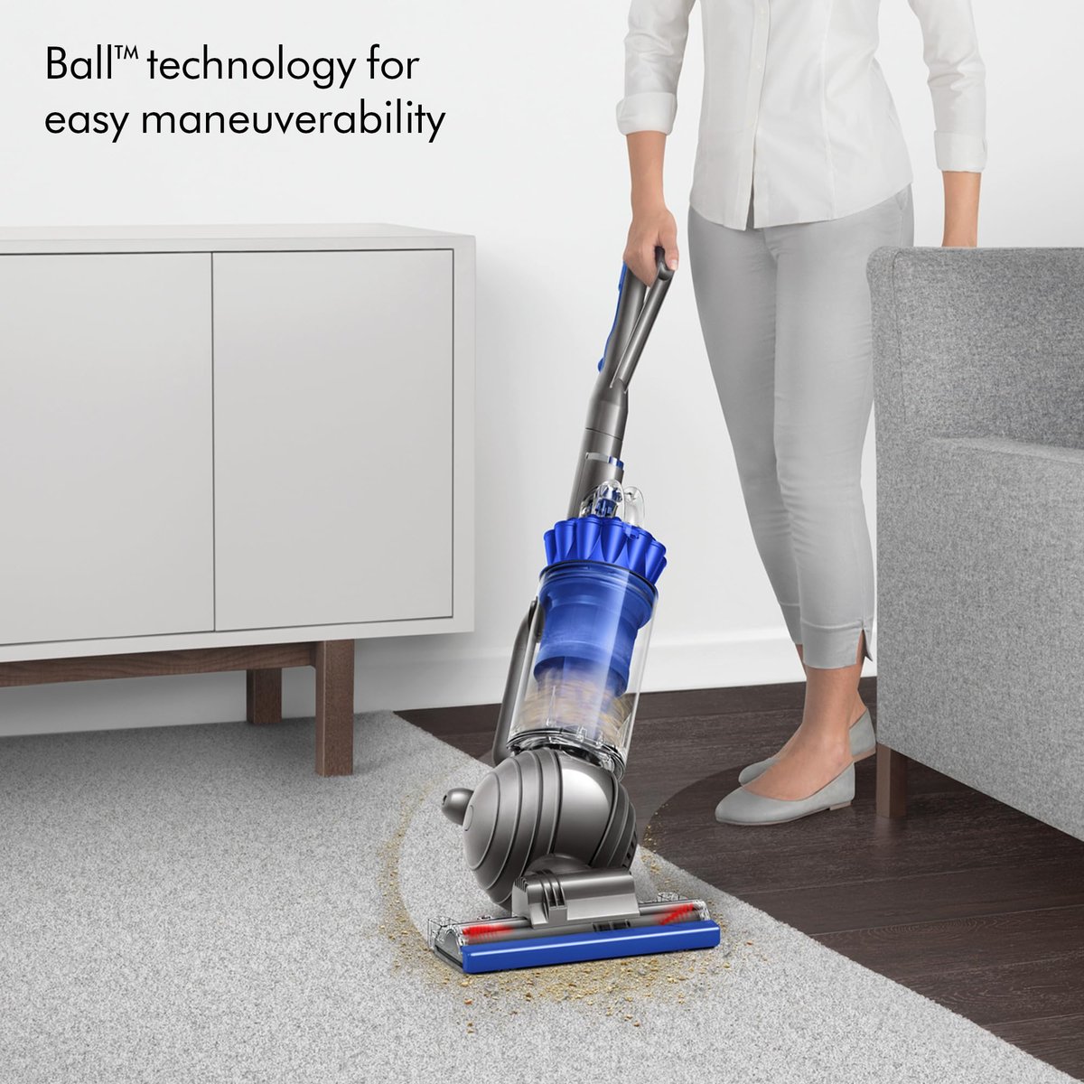 Dyson Ball Animal 2 upright vacuum in iron and purple