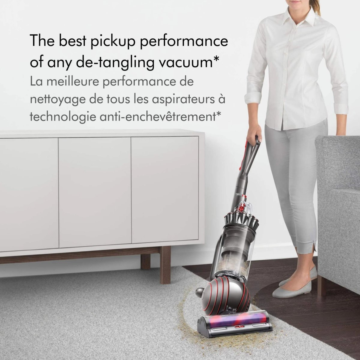 Dyson Ball Animal 3 with beater bar