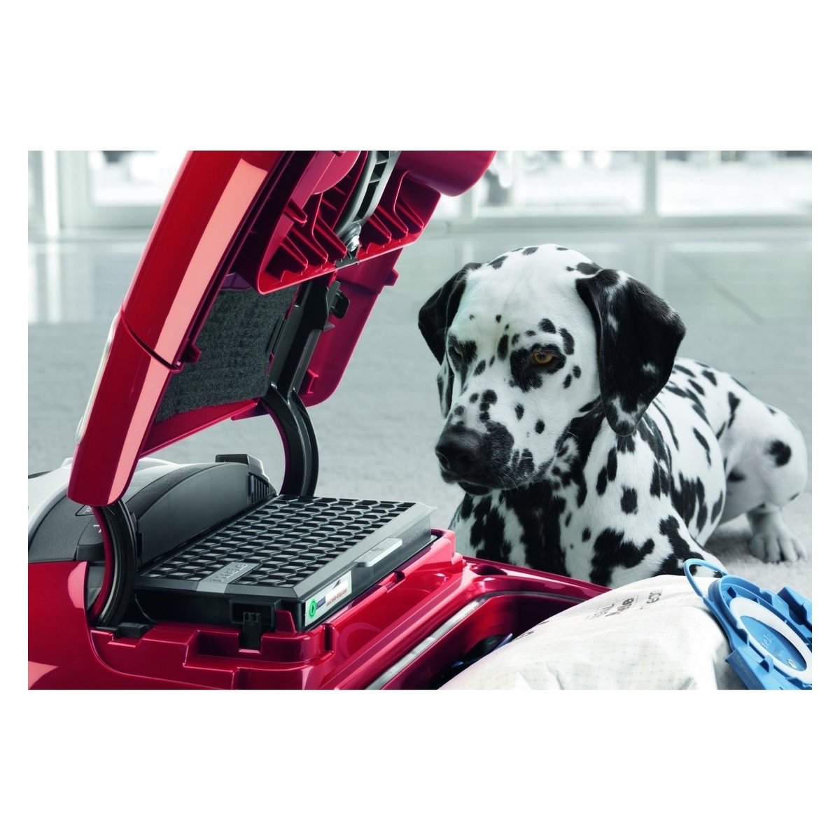 Miele Complete C3 Cat & Dog canister vacuum cleaner