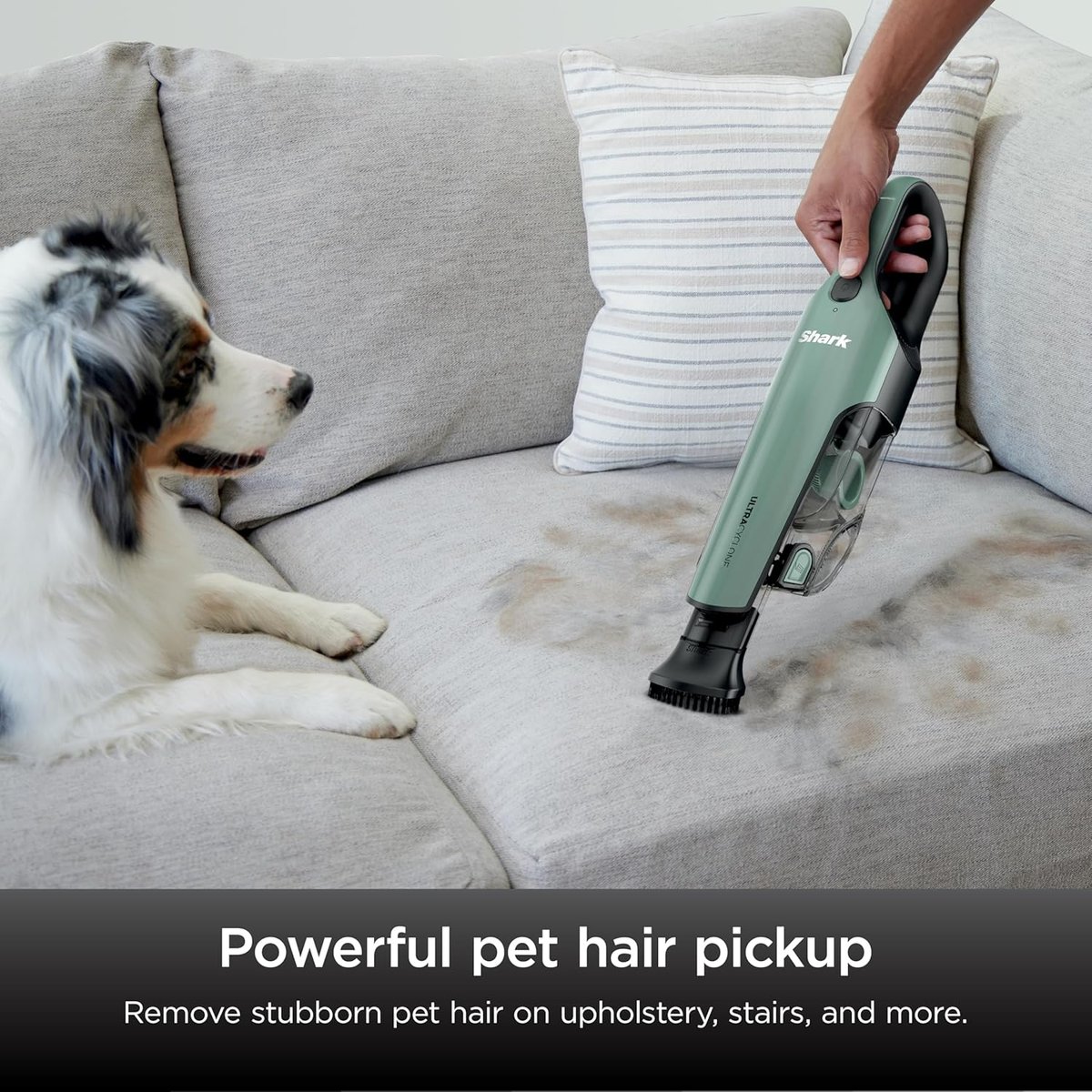 Shark UltraCyclone Pet Pro handheld vacuum