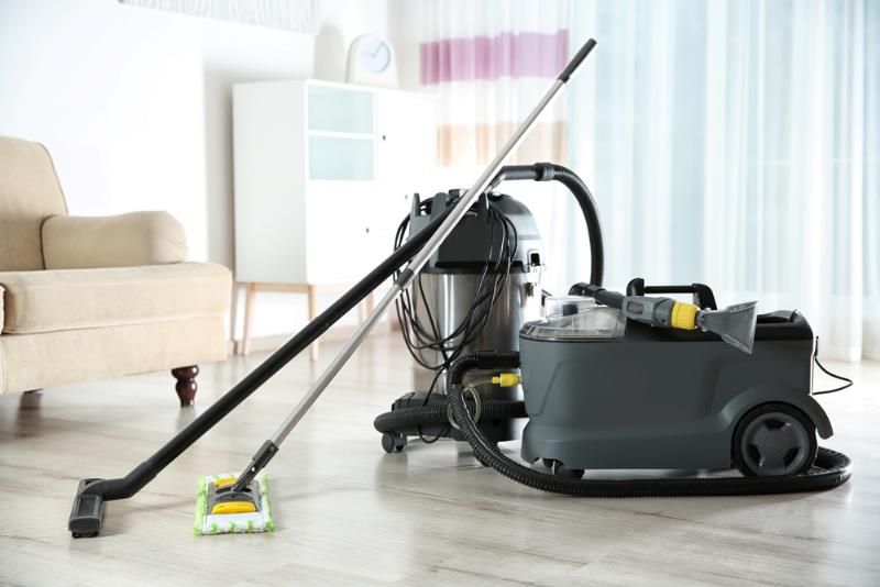 Steam mop and canister steam cleaner side by side