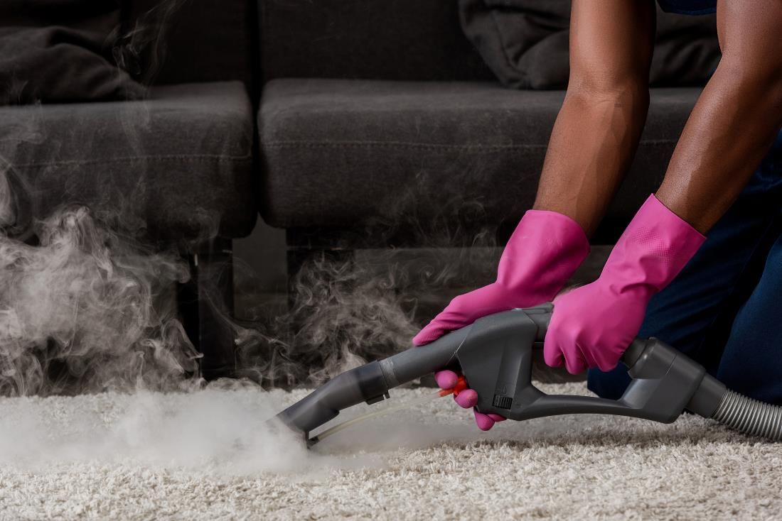 Best spot carpet cleaners for pet stains and spills 2026