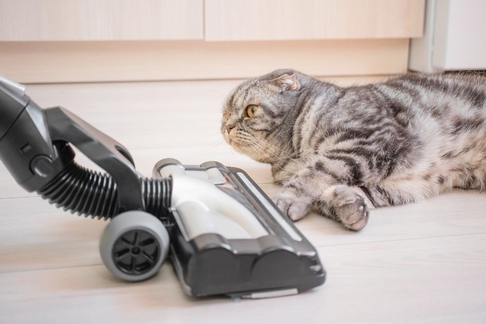 Best upright vacuum cleaners for pet hair 2026