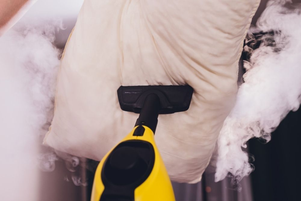 Steam cleaner for bed bug treatment safety guide