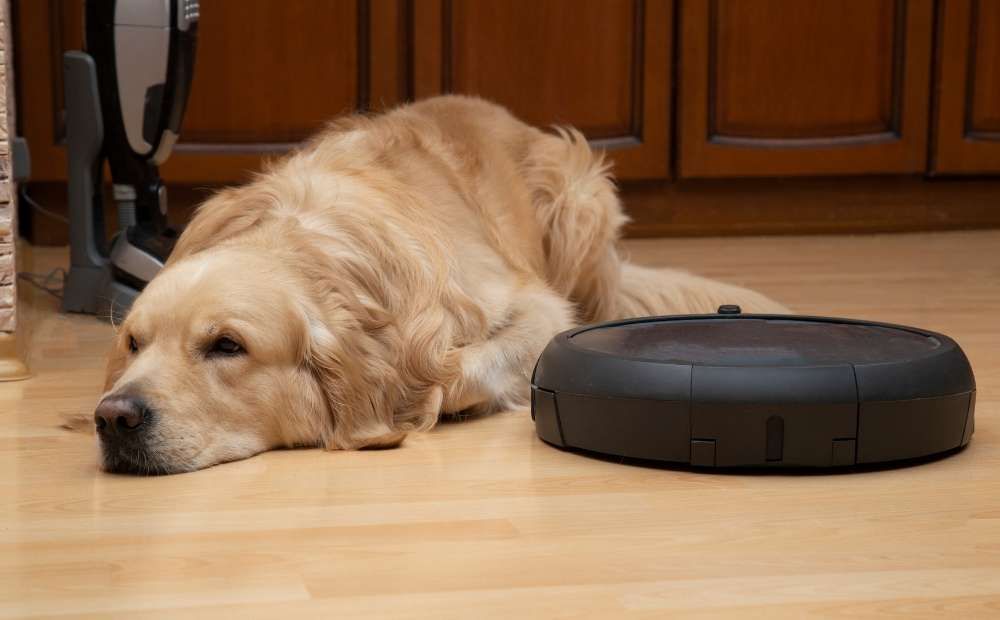 Best robot vacuums for pet hair 2026